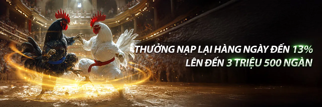Sân đấu đá gà b66 apk trực tuyến sôi động