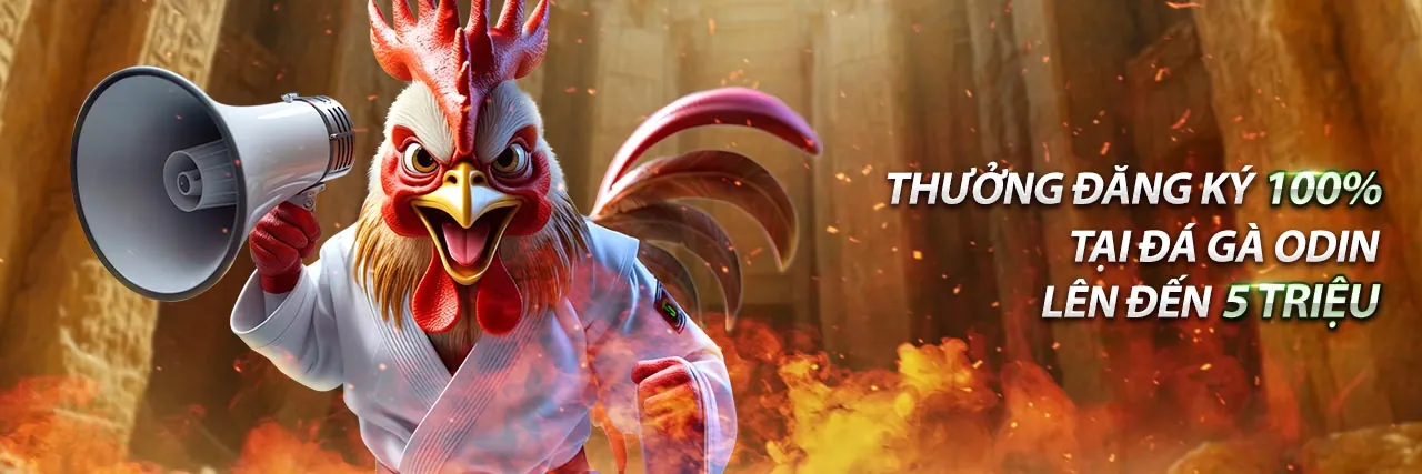 Hỗ trợ khách hàng b66 apk